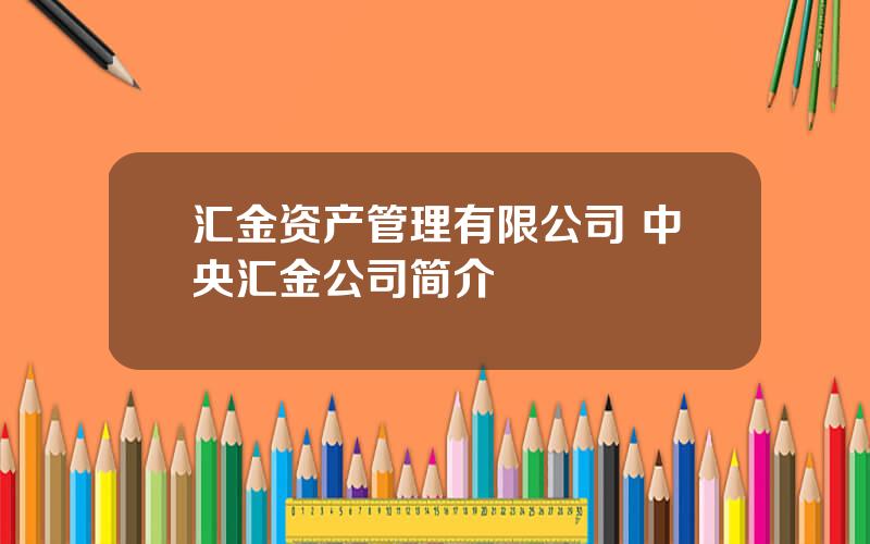 汇金资产管理有限公司 中央汇金公司简介